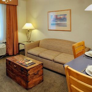 One-Bedroom King Suite